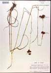 000015293-thumbnail.jpg
