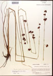 000015294-thumbnail.jpg