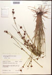 000015295-thumbnail.jpg