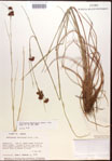 000015296-thumbnail.jpg