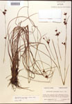 000015297-thumbnail.jpg