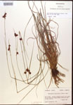 000015299-thumbnail.jpg
