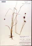 000015301-thumbnail.jpg