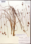 000015302-thumbnail.jpg