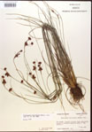 000015303-thumbnail.jpg