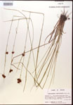 000015306-thumbnail.jpg
