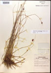 000015307-thumbnail.jpg