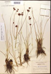 000015308-thumbnail.jpg