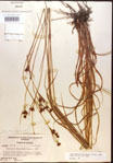 000015309-thumbnail.jpg