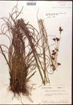 000015310-thumbnail.jpg
