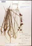 000015311-thumbnail.jpg