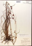 000015312-thumbnail.jpg