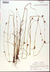 000015328-thumbnail.jpg