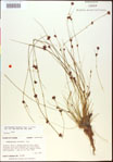 000015329-thumbnail.jpg