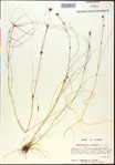 000015331-thumbnail.jpg