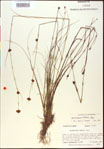 000015332-thumbnail.jpg