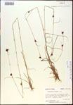 000015333-thumbnail.jpg