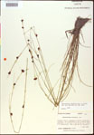 000015334-thumbnail.jpg