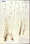 000015335-thumbnail.jpg