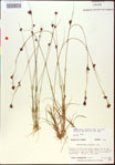 000015336-thumbnail.jpg
