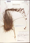 000015337-thumbnail.jpg