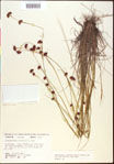000015338-thumbnail.jpg