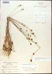 000015339-thumbnail.jpg