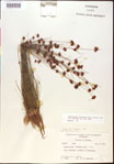 000015340-thumbnail.jpg