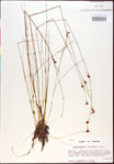 000015341-thumbnail.jpg