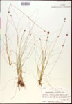 000015342-thumbnail.jpg