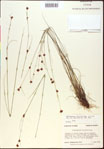 000015343-thumbnail.jpg