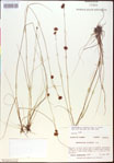 000015344-thumbnail.jpg