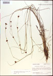 000015345-thumbnail.jpg