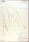 000015346-thumbnail.jpg