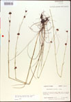 000015347-thumbnail.jpg