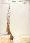 000015352-thumbnail.jpg