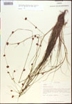 000015354-thumbnail.jpg