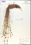 000015357-thumbnail.jpg