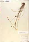 000015358-thumbnail.jpg