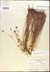 000015359-thumbnail.jpg