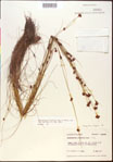 000015360-thumbnail.jpg