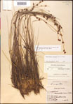 000015361-thumbnail.jpg