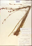 000015362-thumbnail.jpg
