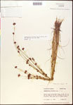 000015363-thumbnail.jpg