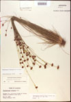 000015364-thumbnail.jpg