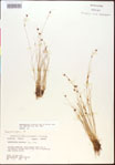 000015365-thumbnail.jpg