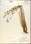 000015366-thumbnail.jpg