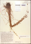 000015367-thumbnail.jpg