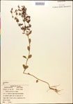 000015369-thumbnail.jpg