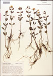 000015371-thumbnail.jpg